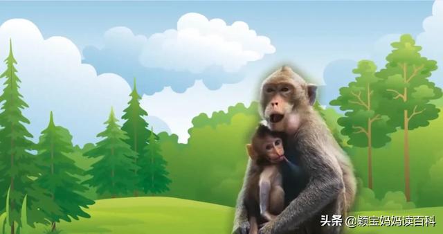 什么叫哺乳动物，什么叫哺乳动物怎么听一遍啊（<二十一>——强大的哺乳动物）