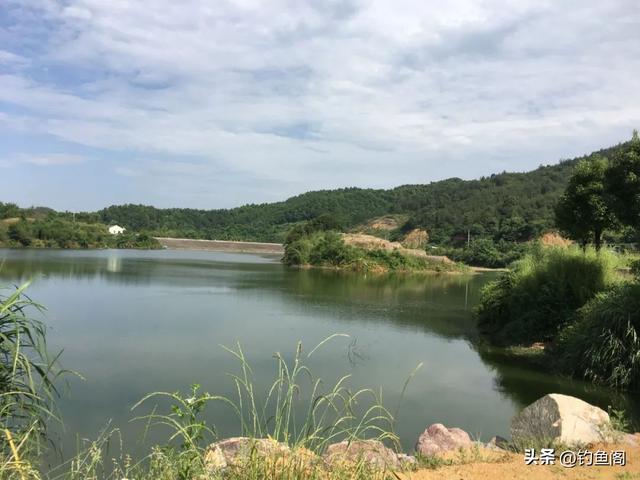 水库钓鱼技巧如何找准钓位与钓点，只需找到这2种位置
