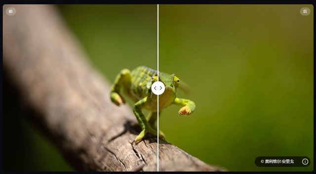 ps的十大滤镜插件，Collection