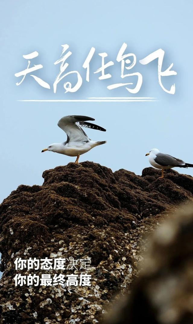 鼓励男人的暖心句子，最能暖到男人心的鼓励话（早安心语，正能量霸气语录说说）