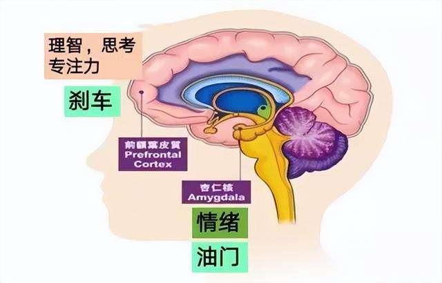 自己打屁股的方法，专家教你怎样打孩子屁股才能最有效果（孩子犯错了就打屁股）