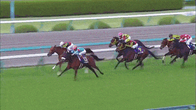 麝香的营养价值，麝香具有什么功效（价值贵重的5种生物体液盘点）