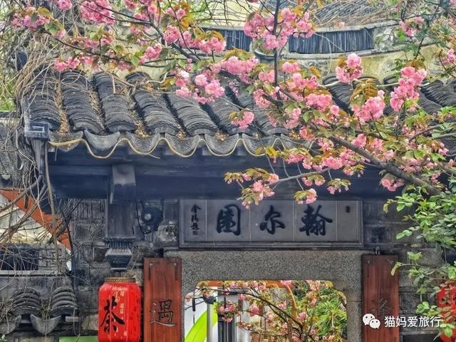 苏州山塘街攻略，苏州山塘街美食最强攻略（周末轻松苏州游）