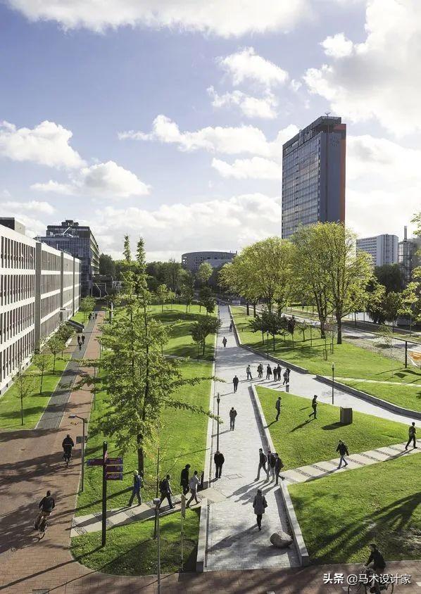 建筑学专业排名，建筑学专业世界排名（QS建筑学专业大学排行榜）