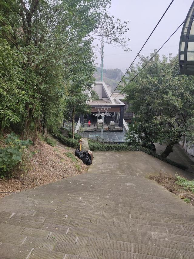 歌乐山森林公园，重庆旅游必去景点（歌乐山国家森林公园）