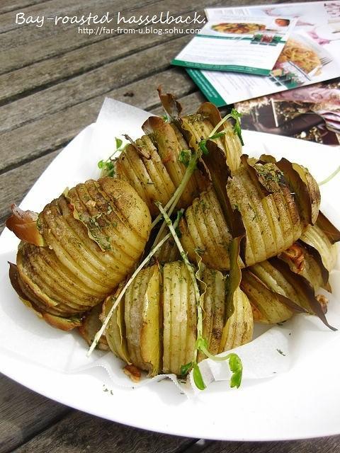 迷迭香是什么，西餐中常用的15种香料和香草（迷迭香是什么时候出的）