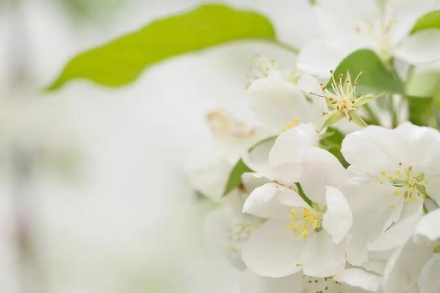 红楼梦好词好句，红楼梦的好词好句（读懂《红楼梦》的这10句名言）