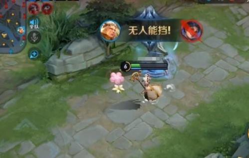 血包是什么，率土血包是什么（两个残血到底谁该吃塔下血包呢）