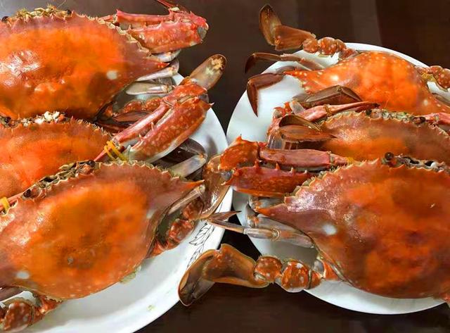 海螃蟹蒸多长时间，海螃蟹蒸多久（蒸螃蟹时，冷水还是热水入锅）