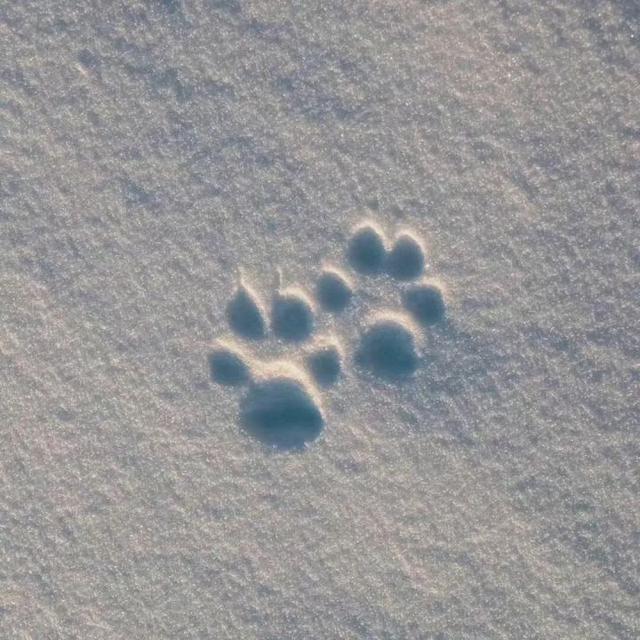 情侣网名二字简约，简约的二字情侣网名   她心|他城微信昵称（怎么不算是好的情侣网名呢）