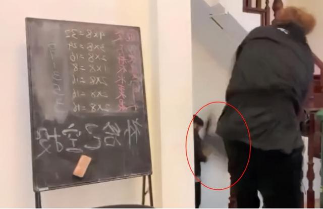 帝师真实身份，帝师真实身份斛珠夫人（帝师：“最强风水师”）