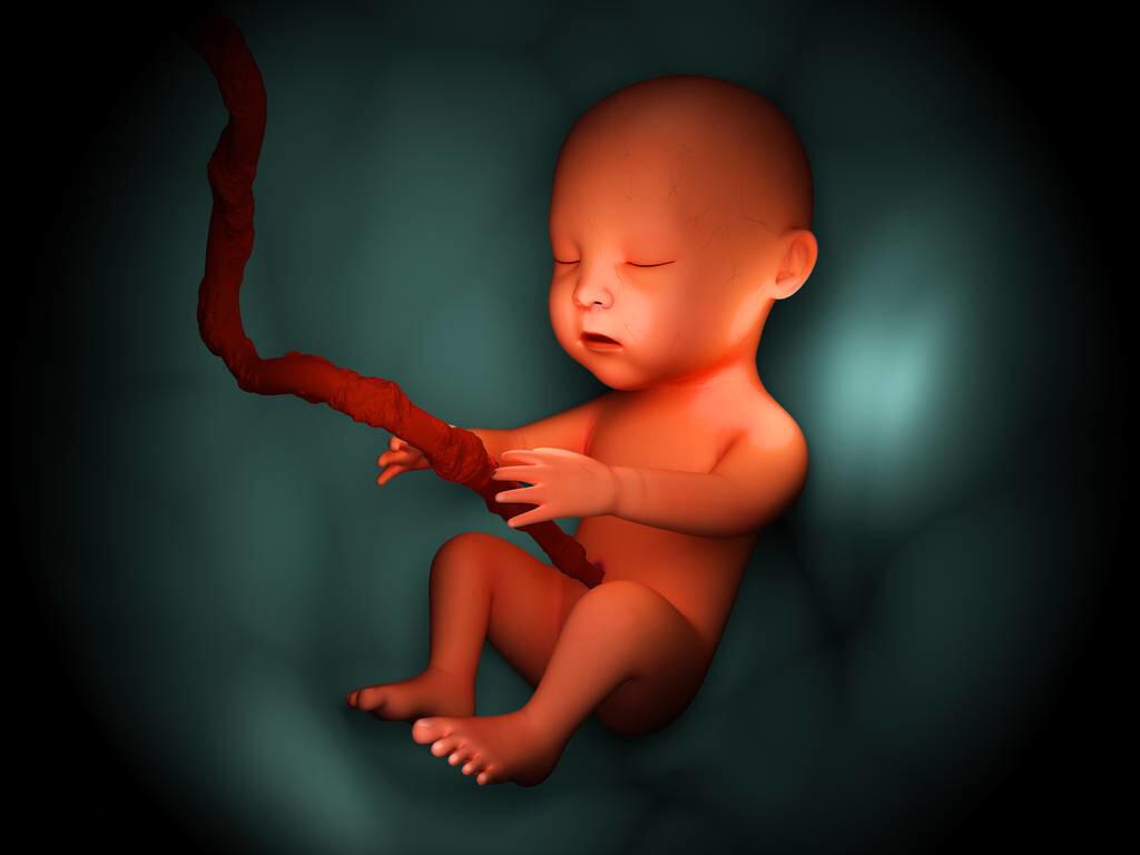 怀孕17周胎儿真实图片(胎儿很早就已经拥有了) 