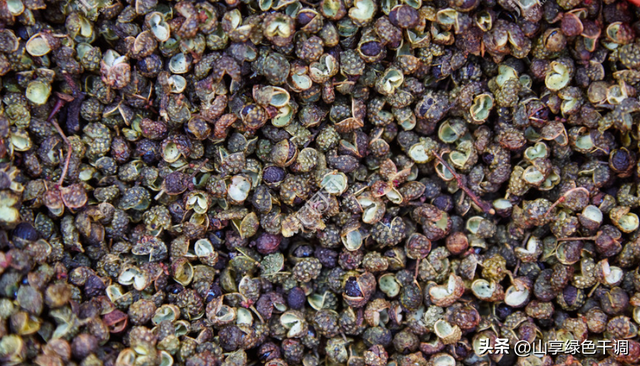 藤椒和青花椒的区别是什么，藤椒与青花椒区别是什么（才知道花椒、麻椒和藤椒的区别）