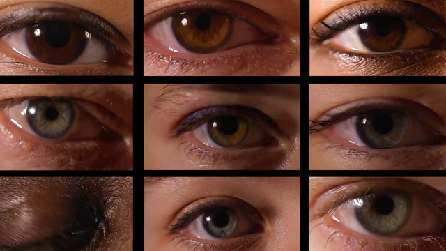 人眼是什么结构，人眼的主要结构（究竟如何进化而来的）