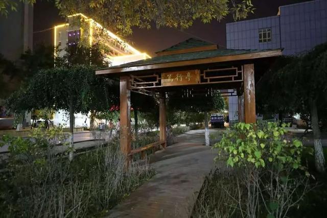 新疆财经大学怎么样，新疆财经大学研究生分数线（不说再见！新疆财经大学）