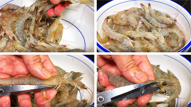 孕妇可以吃腐竹吗，孕妇能否吃腐竹（最适合孕妇吃的高蛋白食物排行）