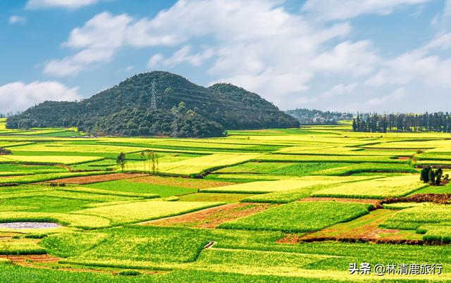 厦门旅游最佳月份，11月厦门旅游去哪里（中国3、4月份最值得去的10座城市）