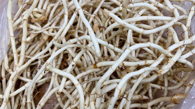 折耳根用什么方法能吃，冬天多吃折耳根