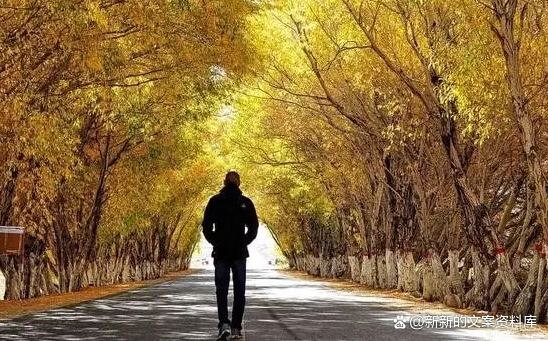 現實生活心累的句子說說心情（寫給心累的自己文案）