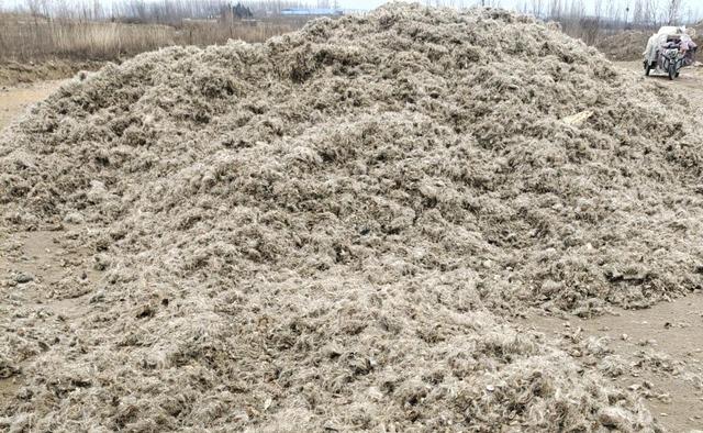 年轻人学什么技术赚钱，年轻人学什么技术赚钱快（普通人靠这2个行业也能日入1000）