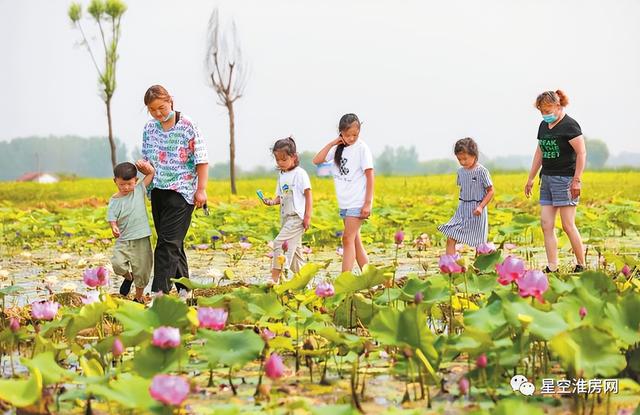 淮北旅游景点大全，淮北文旅局推荐淮北八大旅游打卡点（淮北旅游景点大全免费）