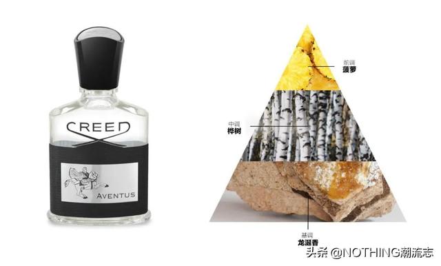 排名前十的香水，香水十大排名（让您在2022年全年保持自信的味道）