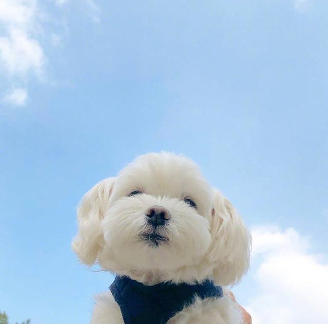 不开心的说说短句，不开心的说说短句男生（心情低落人生哲理短句）