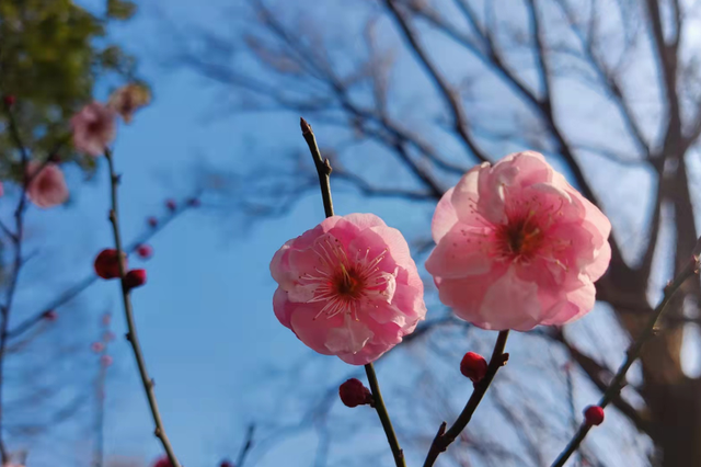 有城府的人的表现，城府深的人表现（有城府的领导都有这5点表现）