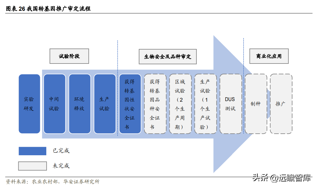 登海先锋种业（玉米种子领军企业）