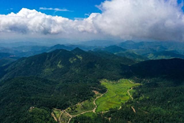 林业生态文明实践基地 | 屏南县仙山牧场