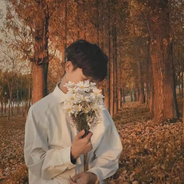 手机挡脸头像?微信，手机挡脸头像（只要我想什么都可以挡）