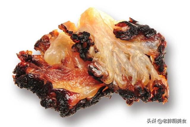 海蜇是水母吗，水母和海蜇是一种生物吗（海蜇学名也叫水母）