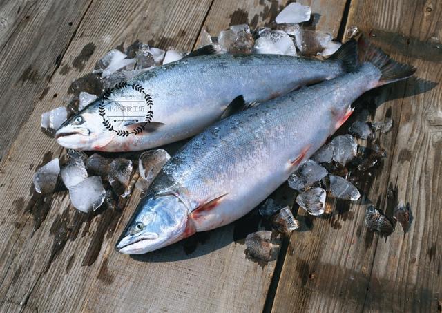 三文鱼为什么可以生吃，三文鱼怎么做家常做法（为什么三文鱼可以直接生吃）