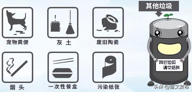 垃圾分类怎么分类，垃圾分类如何分的更详细（您懂得垃圾分类知识吗）