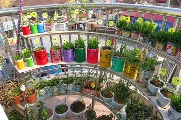 幼儿园环创主题墙图片，简单上档次幼儿园环创（春天你好丨幼儿园春季主题环创系列）