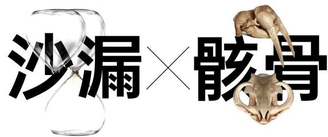 蜜蜂从地球上消失了会怎样，如果蜜蜂从地球上消失,人类将只能再存活四年（没有想法时，怎样突破重围的）