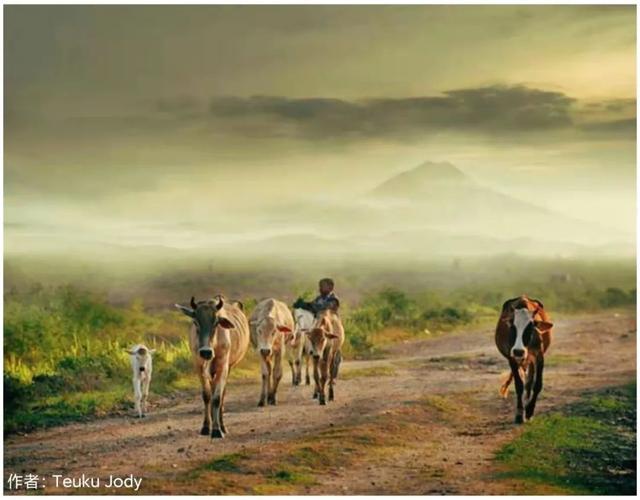 家人幽默群名4个字，家人微信群名称大全霸气搞笑幽默（六个“放牛娃”组建微信群）