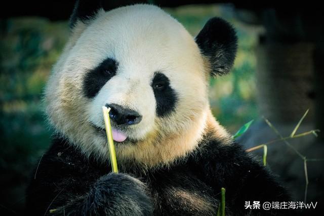 上海最好玩的地方，上海必须去玩的地方有哪些（去上海十个必打卡地）