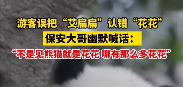 ​游客认错花花，就是那个三角形饭团~