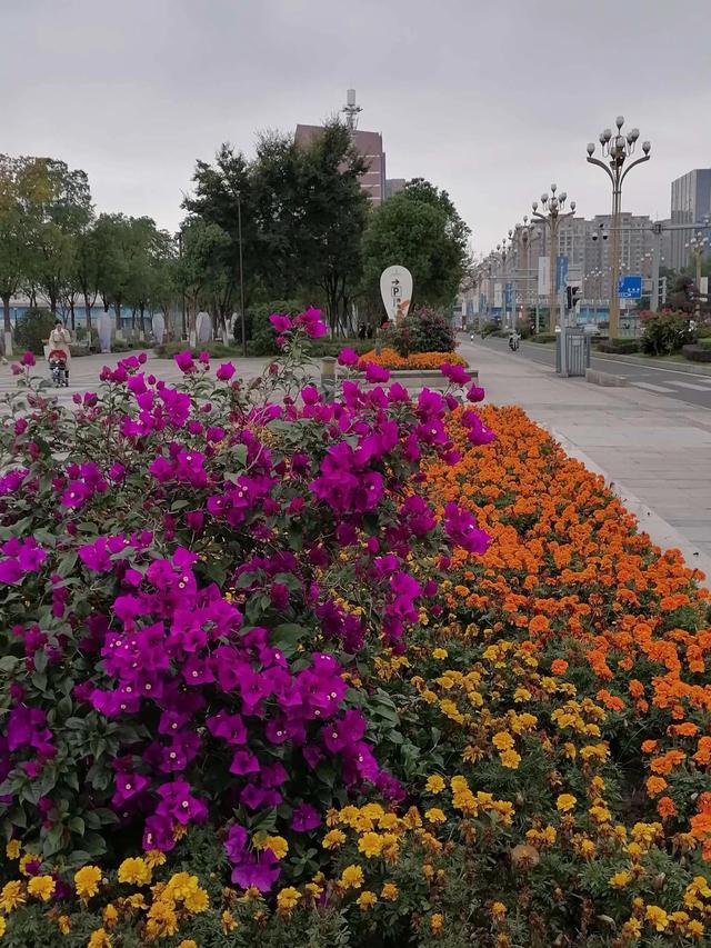 灵魂相似的人一旦相逢，灵魂相似的人一旦相逢是知心朋友（总有一天会在路上相逢）