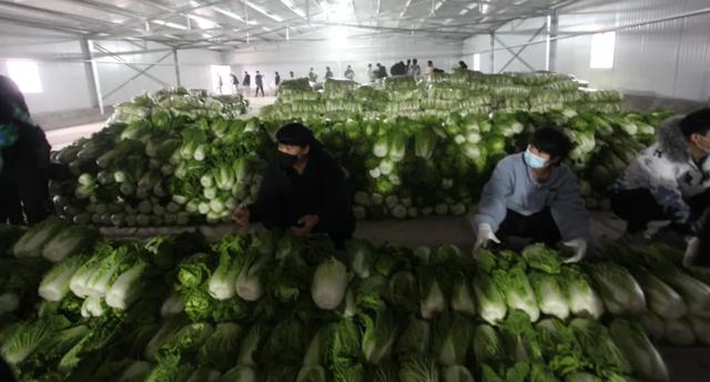 西安高新科技职业学院，西安高新科技职业学院怎么样（西安高新技师学院学费多少）