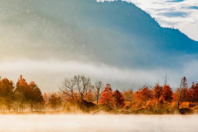 10种代表秋天的景物，秋天的景色有哪些（这10个小众绝美的秋景地）
