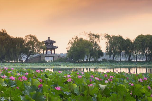 北京湿地公园有哪些景点好玩，北京公园推荐︱10个值得一去的免费公园