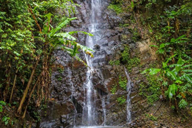 河源野趣沟，山间的天然大氧吧，体验山泉足浴游