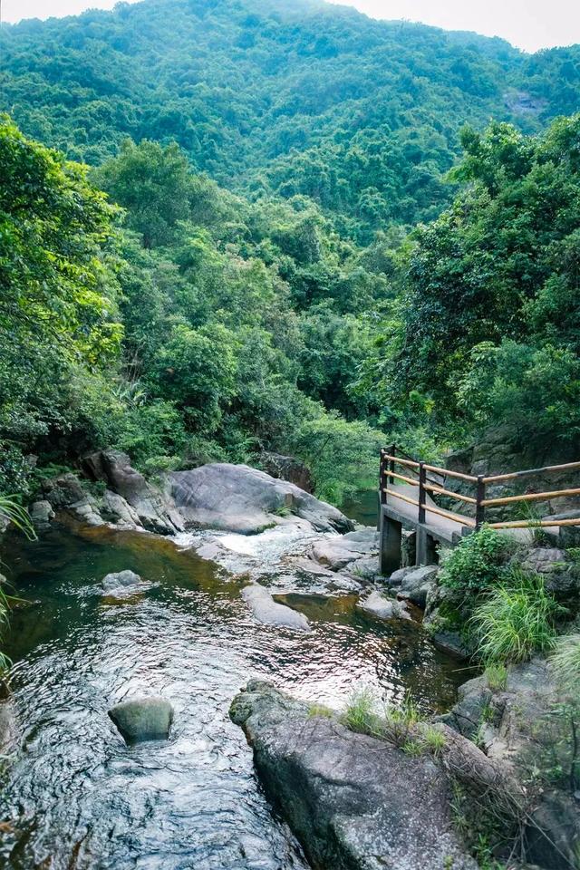 深圳好玩的免费景点，深圳哪里好玩的景点（来深圳这10个地方免费玩）