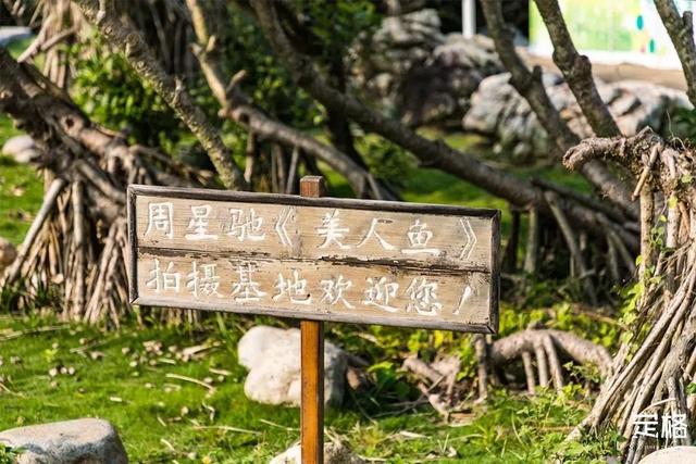 深圳一日游免费必去的地方，深圳最适合一日游的15个免费景点（深圳10个小众打卡地）