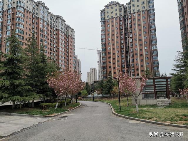 申请报告怎样写模板，给领导申请报告怎么写（申请书、请示和报告的写作技巧）