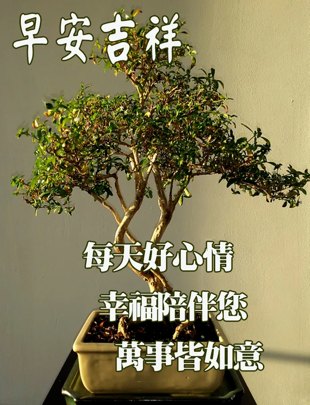 工作励志正能量文案，正能量满满的励志句子有哪些（早安心语，正能量努力工作文案）