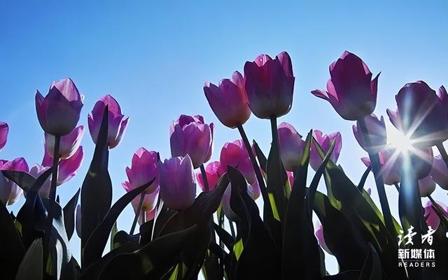 实用的生活小常识，实用生活小常识（10条生活中的心理学常识）