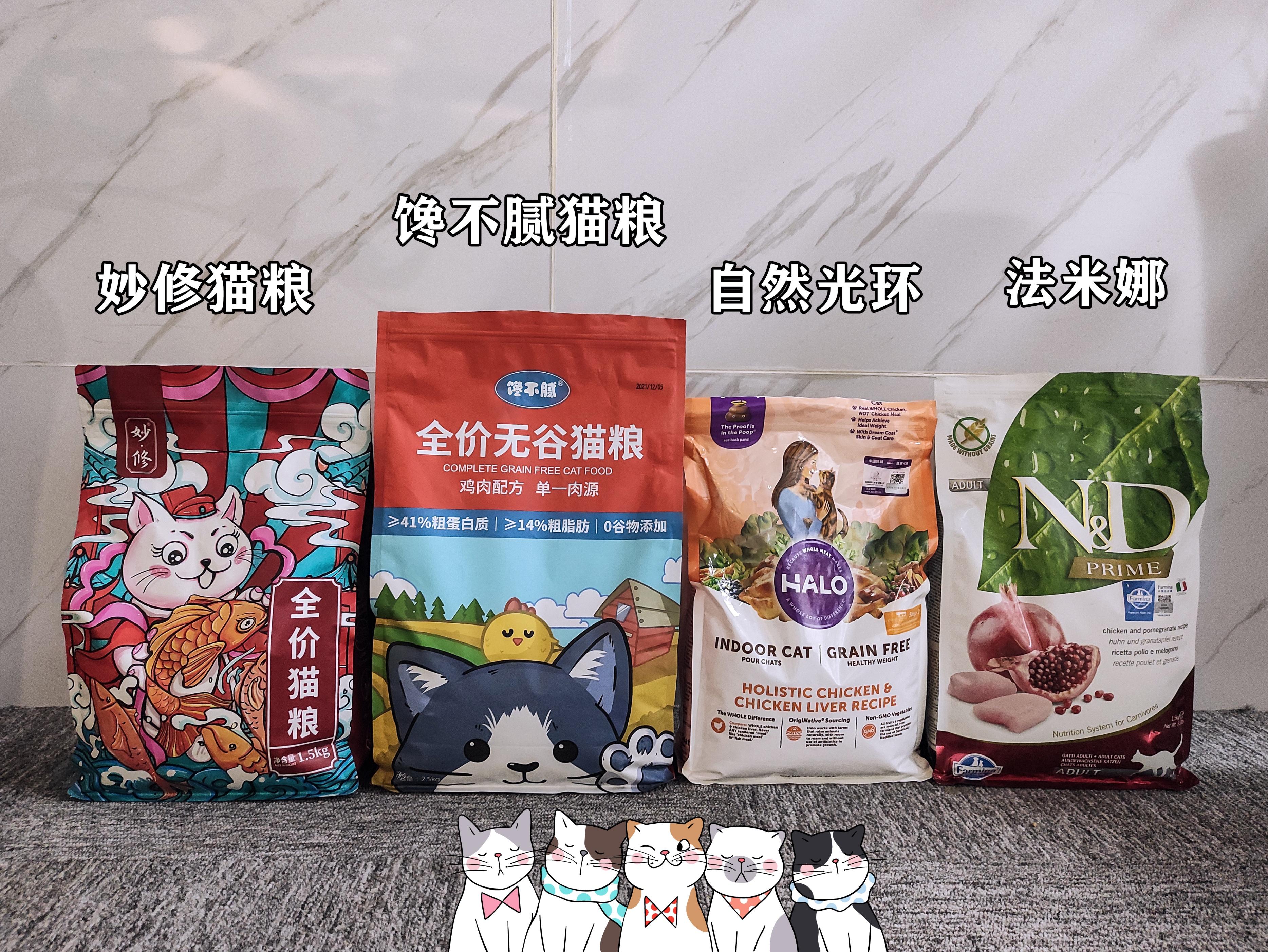 西伯利亚猫多少钱 西伯利亚猫多少钱一只?西伯利亚猫价格|猫咪品种